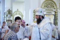 IMG_3720