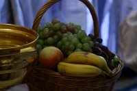 IMG_4037