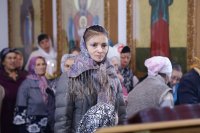 IMG_8203