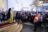 IMG_4709