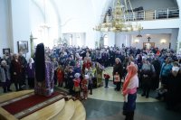 IMG_9141