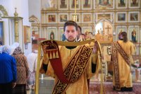 IMG_0137