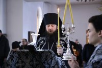 IMG_4998