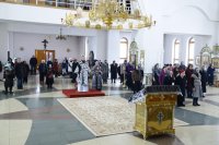 IMG_5101