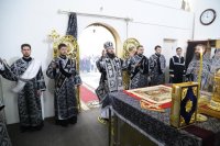 IMG_5185