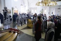 IMG_5250