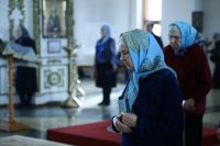 IMG_9586