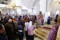 IMG_5869