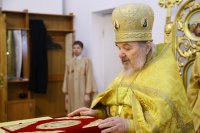 IMG_8539