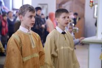 IMG_2274