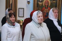 IMG_2565