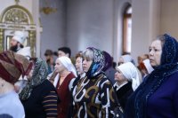 IMG_0345