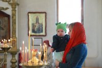 IMG_3017