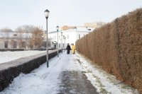 IMG_5941