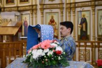 IMG_6205