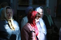 IMG_3512