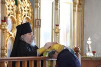 IMG_7984
