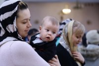 IMG_1741