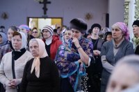 IMG_1773
