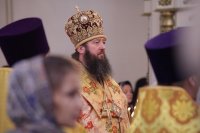 IMG_7745