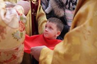 IMG_7919