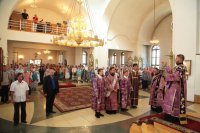 IMG_9341