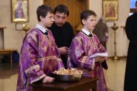 IMG_8070