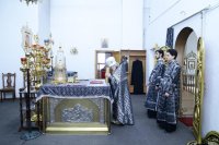 IMG_2479