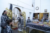 IMG_2581