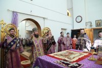 IMG_8431