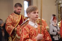IMG_8213