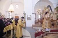 IMG_8526