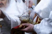 IMG_5654