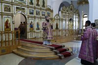 IMG_3337