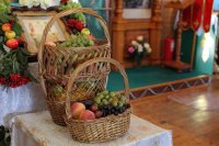 IMG_0266