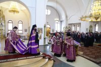 IMG_3544