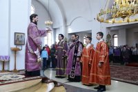 IMG_3682