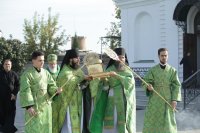 IMG_1421