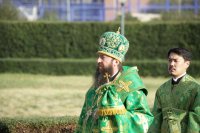 IMG_1430