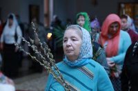 IMG_9096