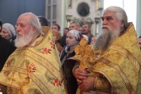 IMG_5474