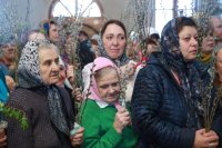 IMG_9646
