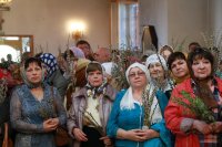 IMG_9649