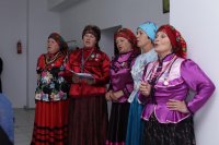 IMG_2374