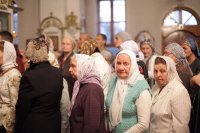 IMG_3082