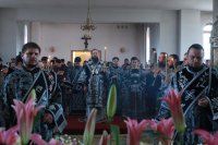 IMG_0602