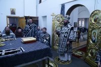 IMG_4771
