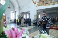 IMG_0856