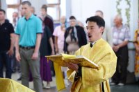 IMG_7684