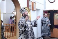 IMG_4775